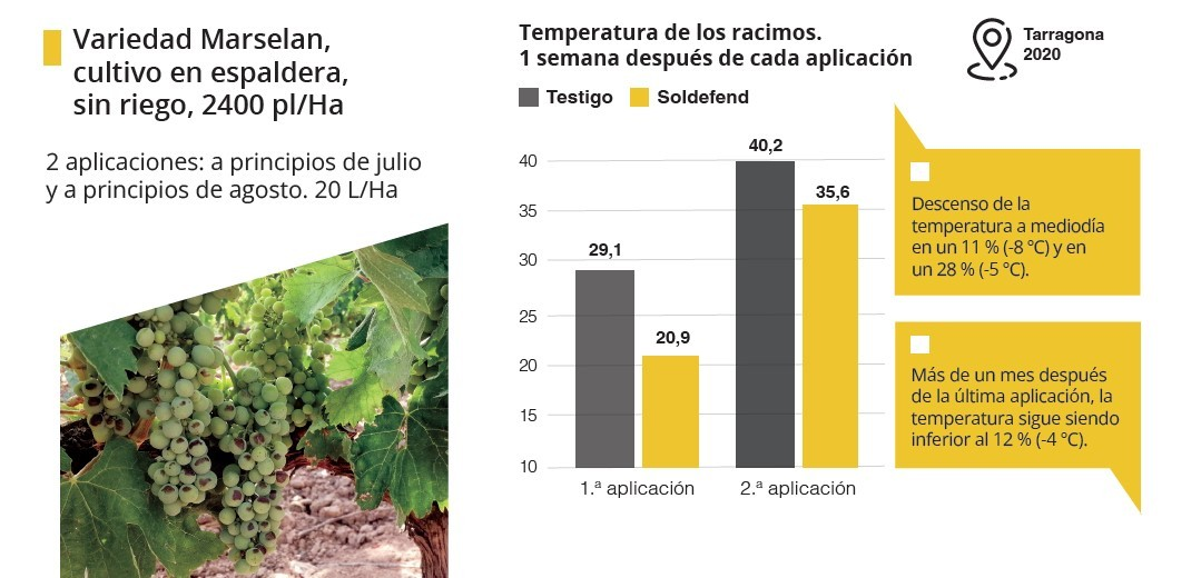 Tratamiento de viñedos con SOLDEFEND.