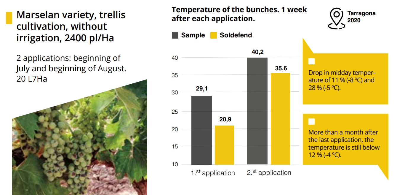 TREATMENT OF VINEYARDS WITH SOLDEFEND