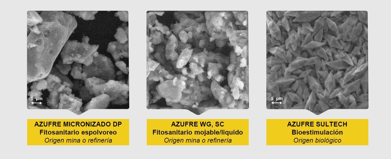 Imágenes al microscopio comparando la estructura del azufre mineral habitual frente al azufre de origen microbiológico.