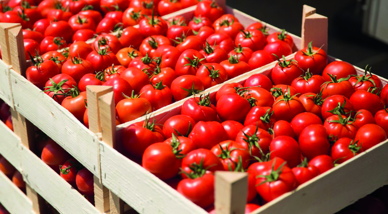 tomato