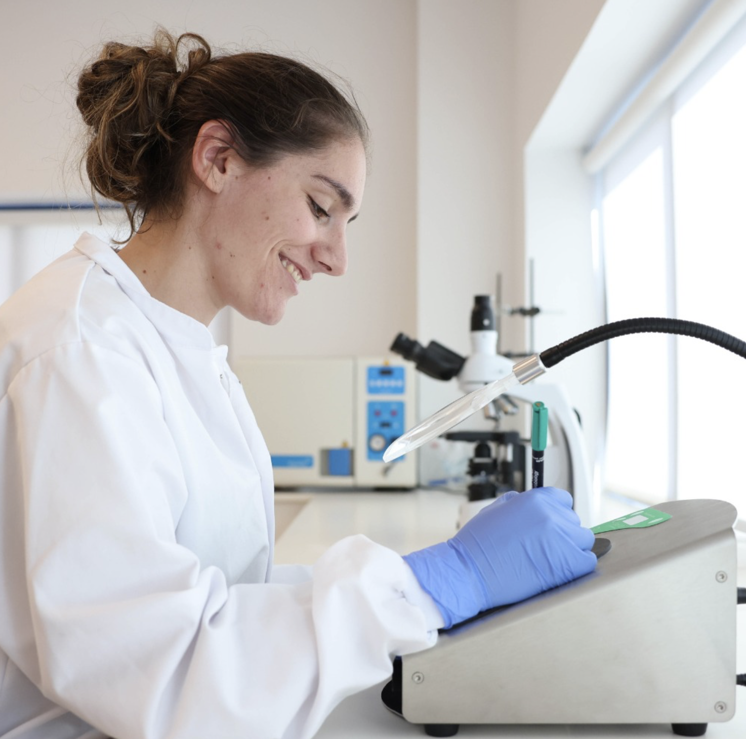 lab