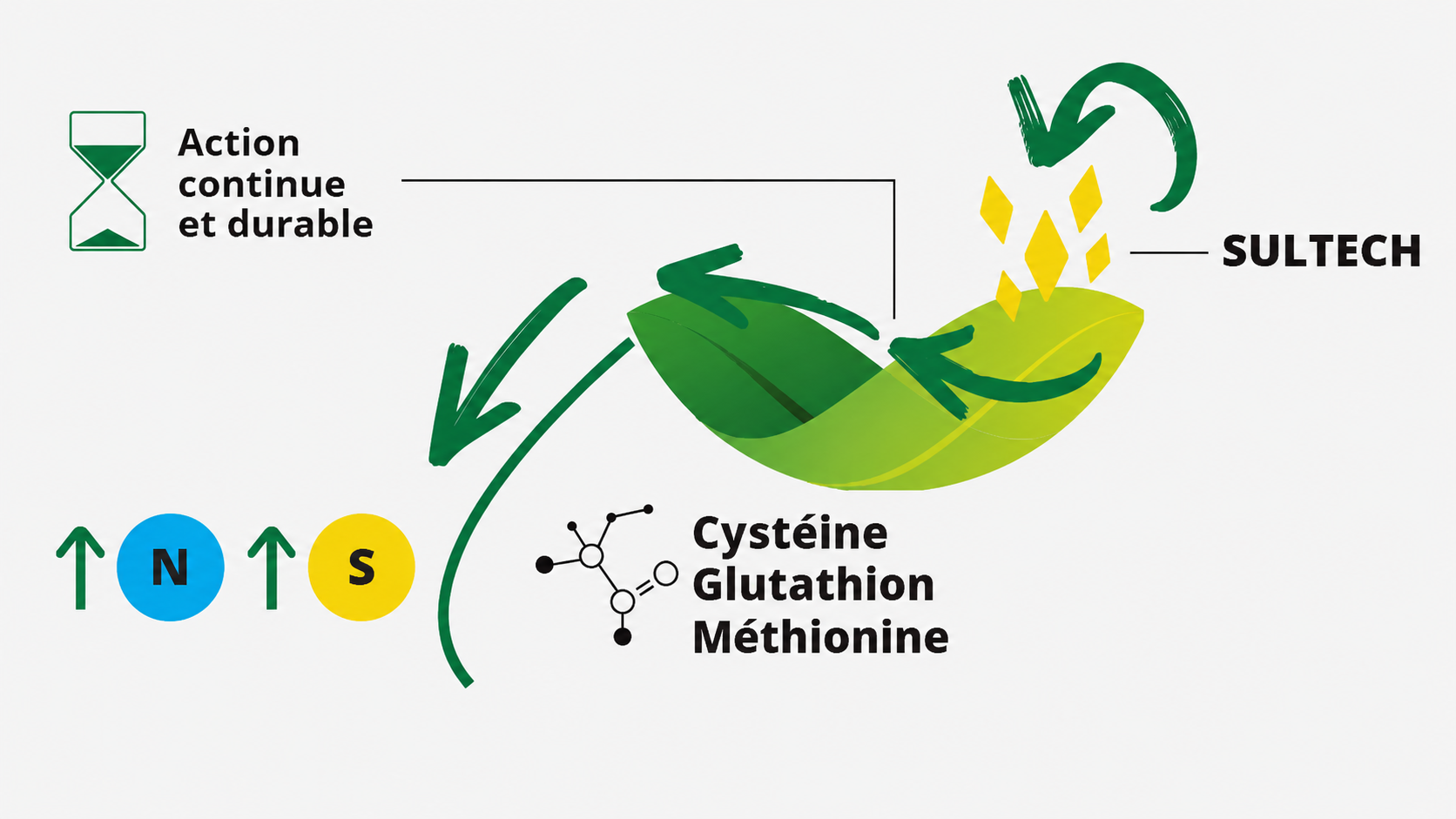 sultech foliar