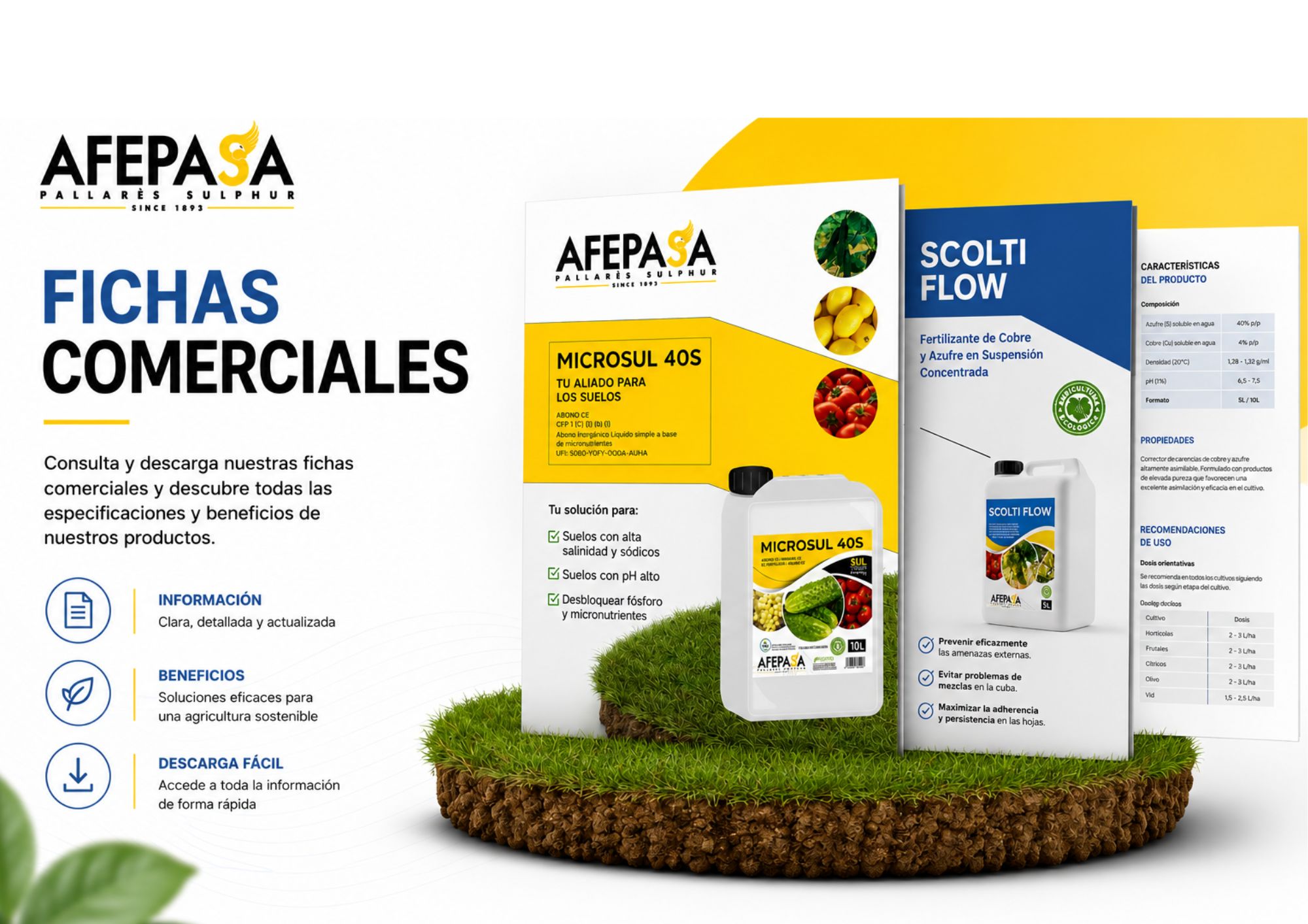 catalogo