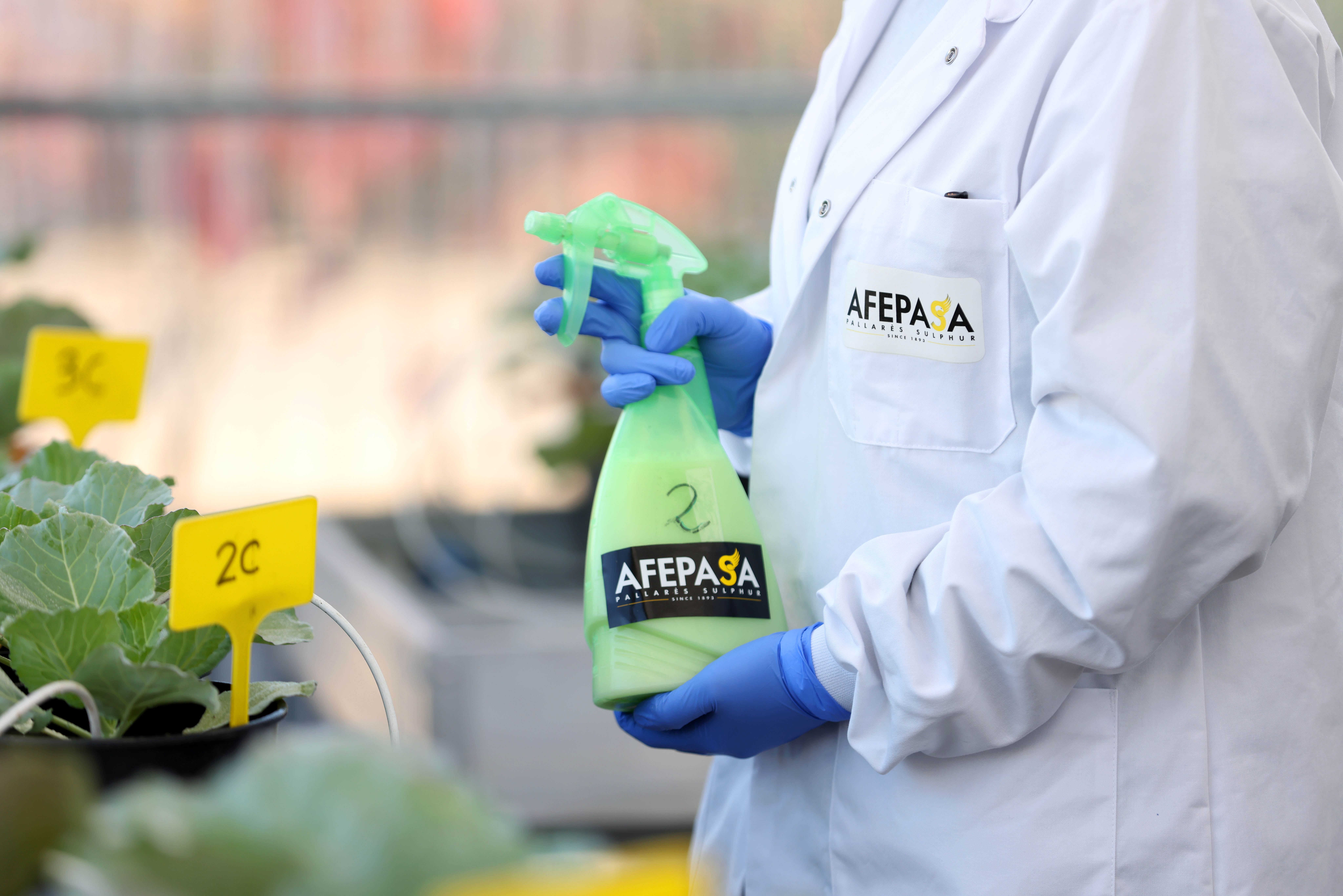 fert