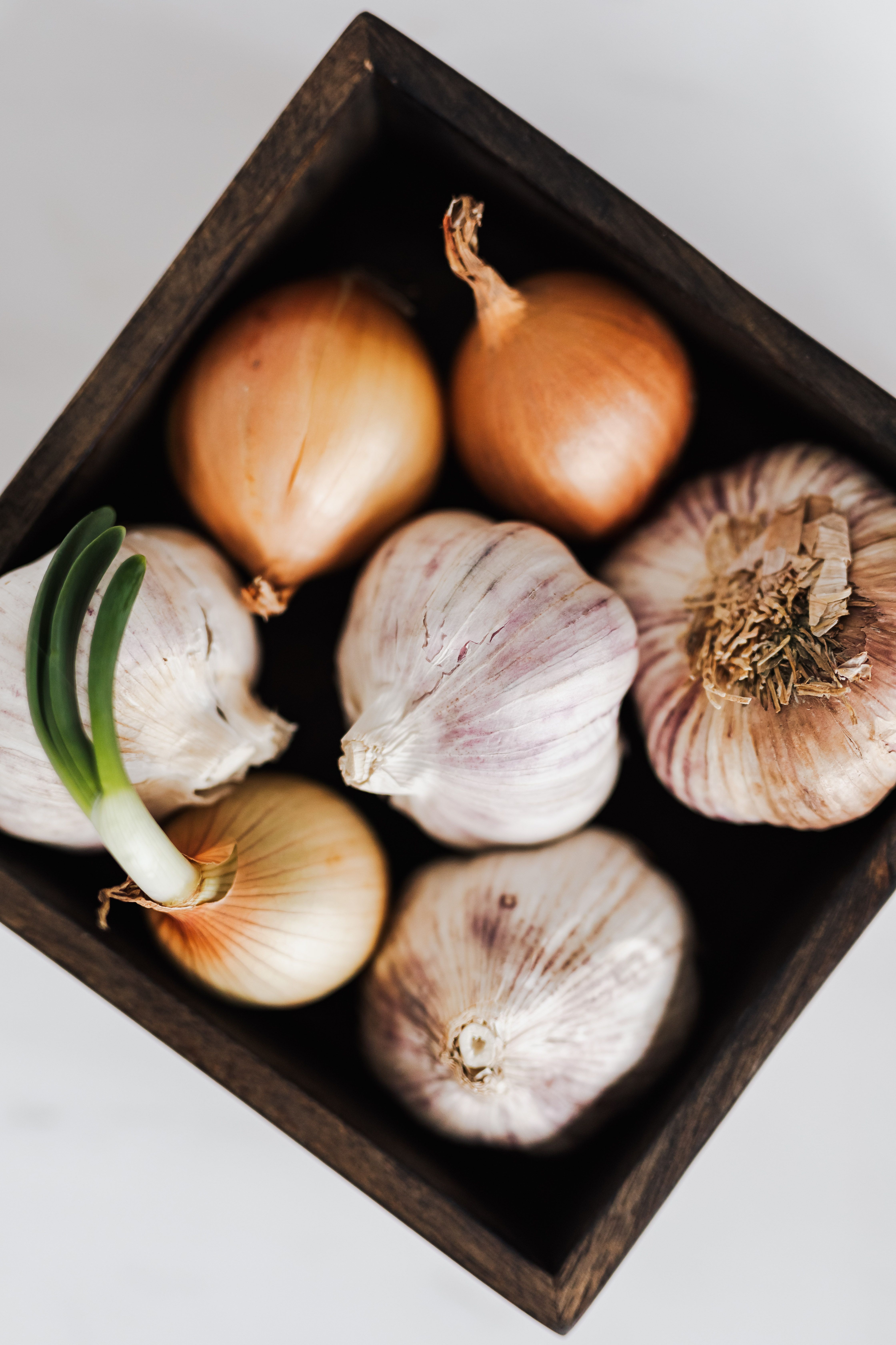 garlic