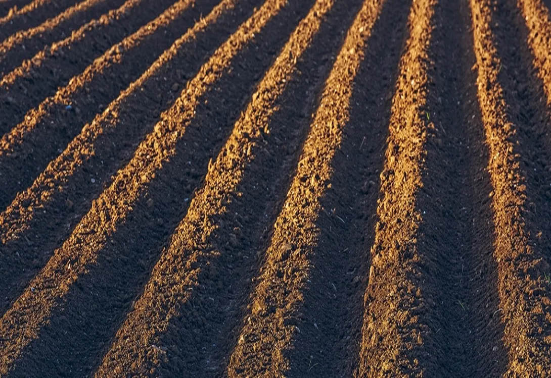 El azufre elemental y su papel esencial como corrector natural de las condiciones del suelo agrícola