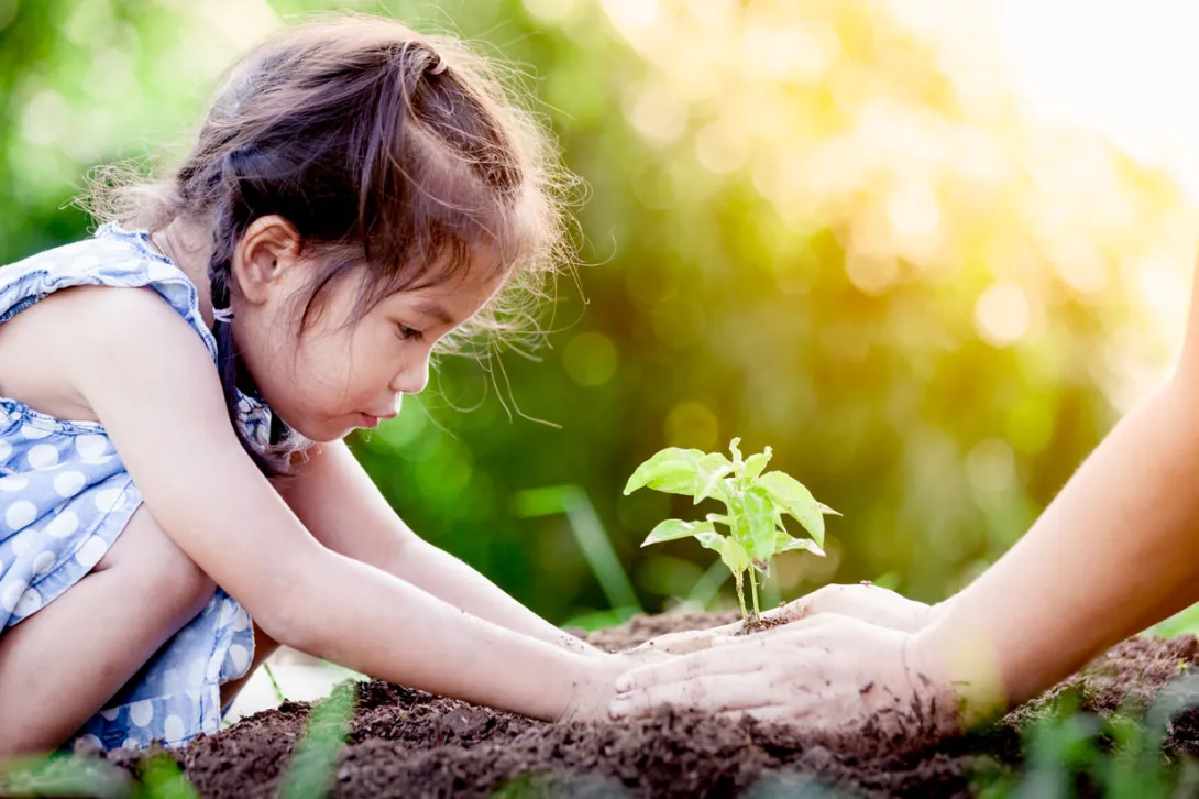 Publicada la Declaración ambiental 2017