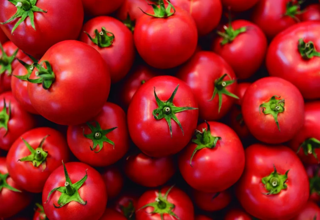 Control del Vasate con Azufre Micronizado: Una Solución Eficaz y Sostenible