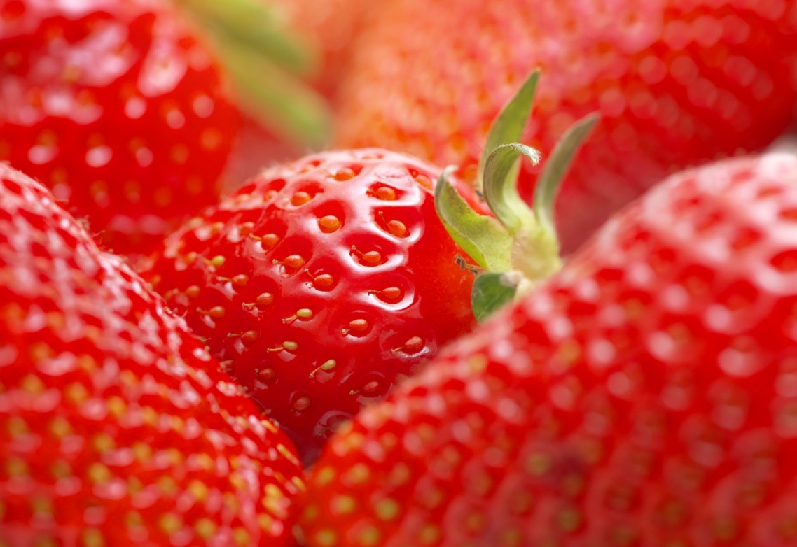 El azufre para uso agrícola: ¿Qué beneficios aporta en el crecimiento y protección de cultivos de frutos rojos?
